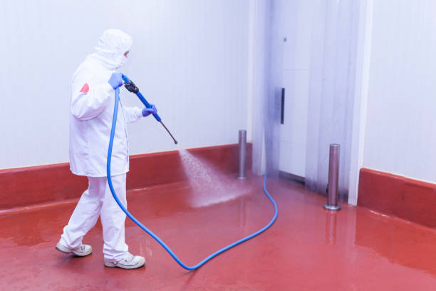 Best Paint Preparation  in French Valley, CA