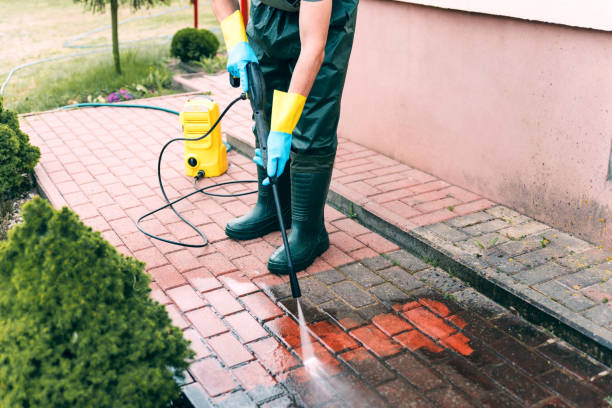 Best Sidewalk and Walkway Cleaning  in French Valley, CA