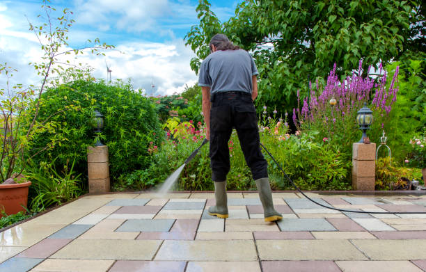 Best Driveway Pressure Washing  in French Valley, CA