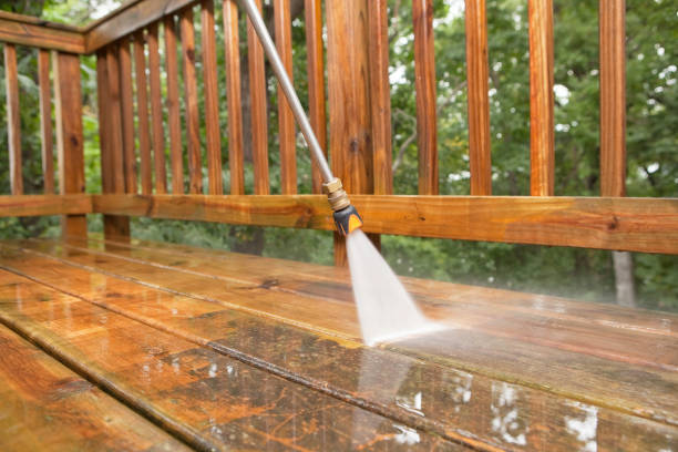 Best Sidewalk and Walkway Cleaning  in French Valley, CA